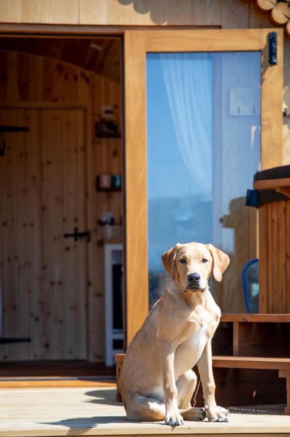 Hooe Barnhorn Glamping 빌라 외부 사진